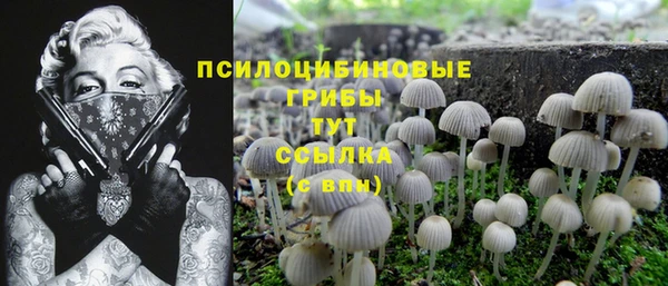 кокаин премиум Белокуриха