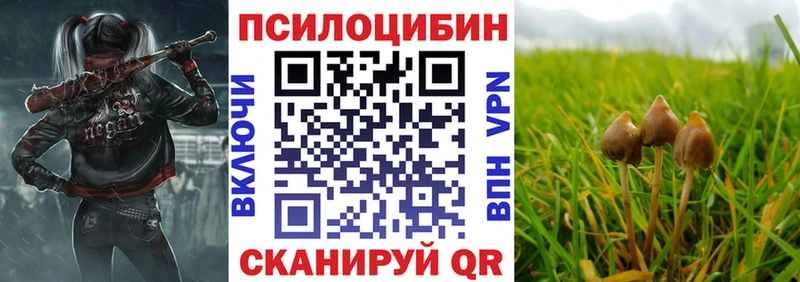 Псилоцибиновые грибы MAGIC MUSHROOMS  Куртамыш 